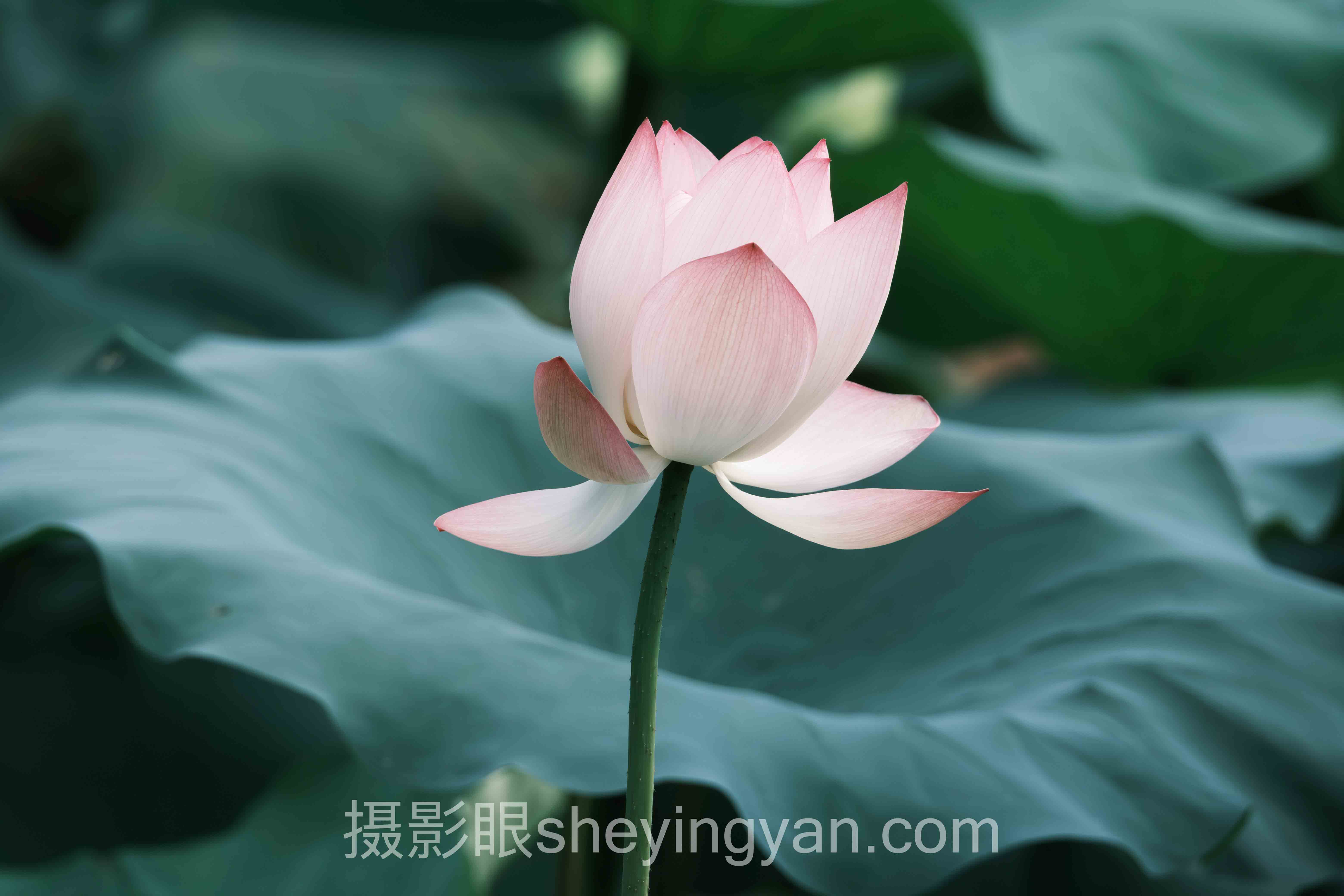 夜景相机拍照参数设置