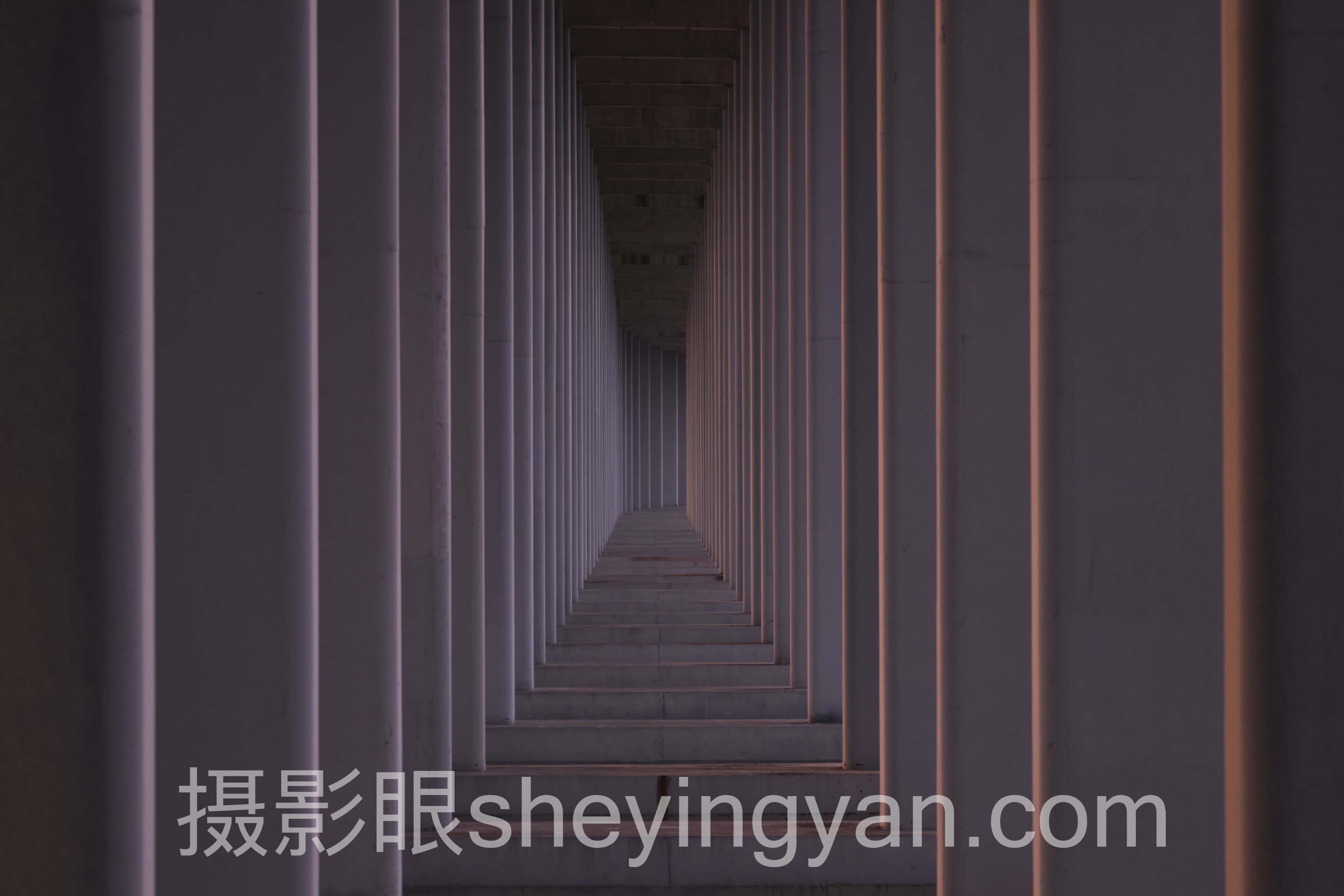 2024年曝光滑杆使用数据报告：AI照片评分的关键洞察