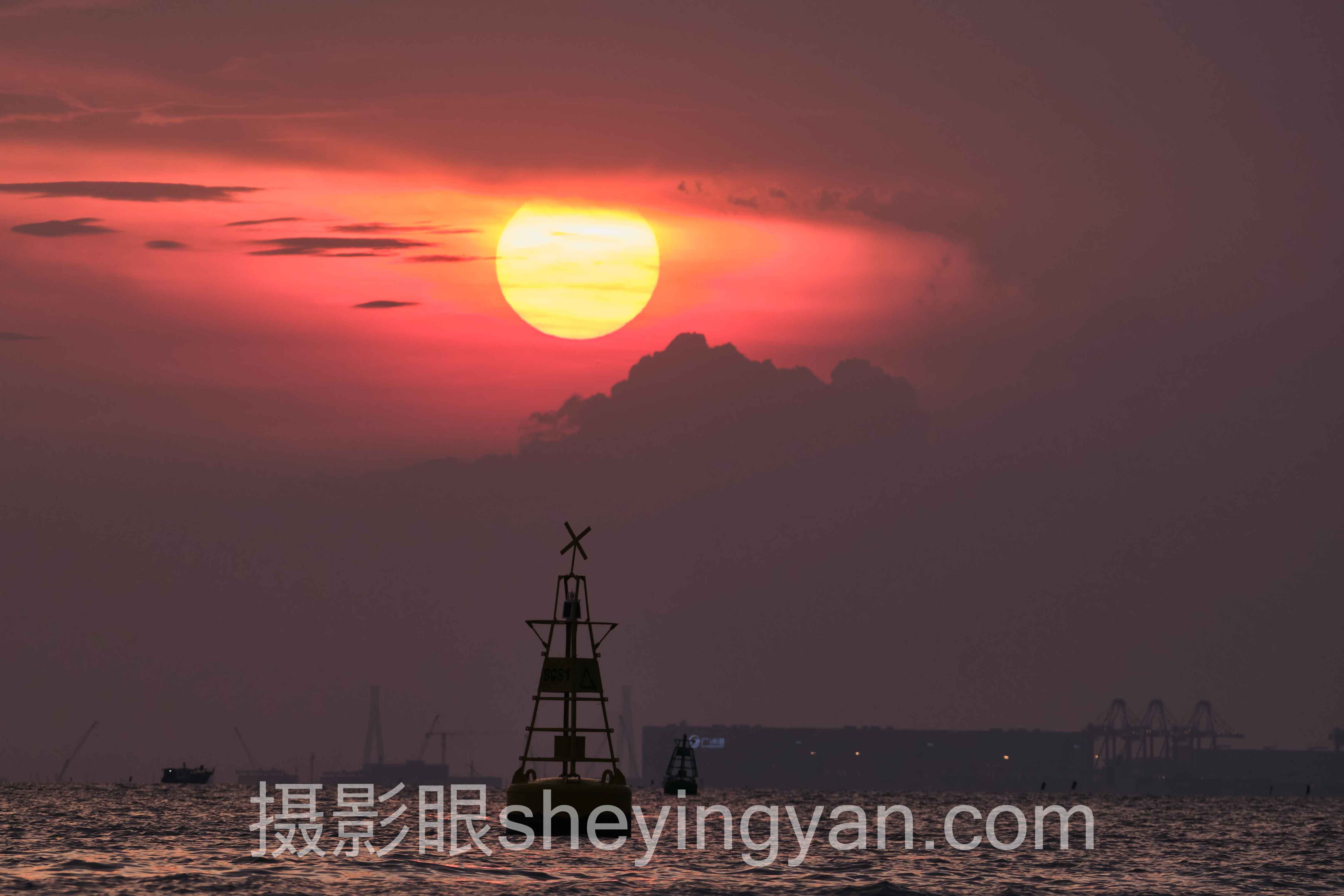 微距摄影深度分析：现状、挑战与未来趋势