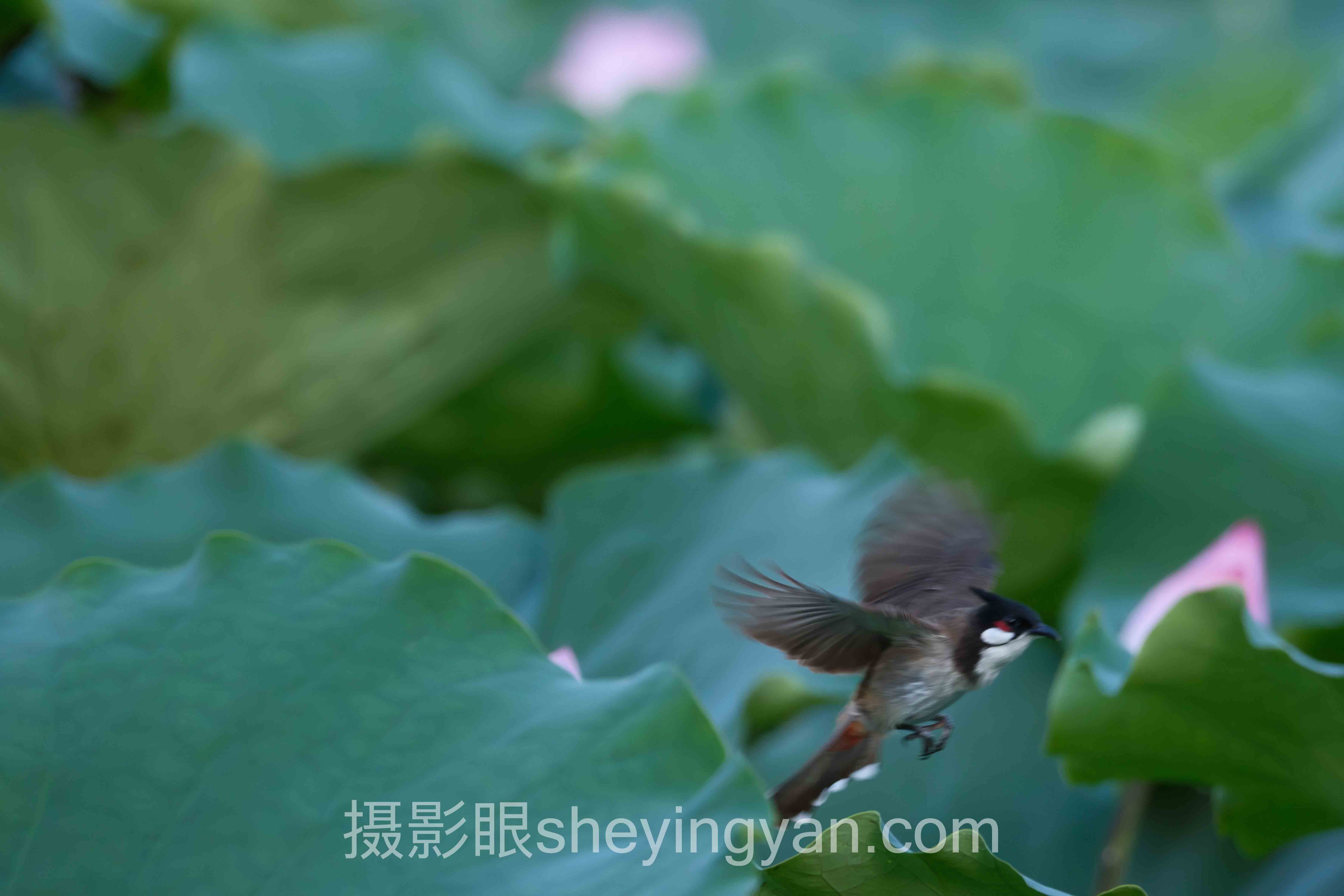 选摄影练习方案不踩坑：多维度对比指南
