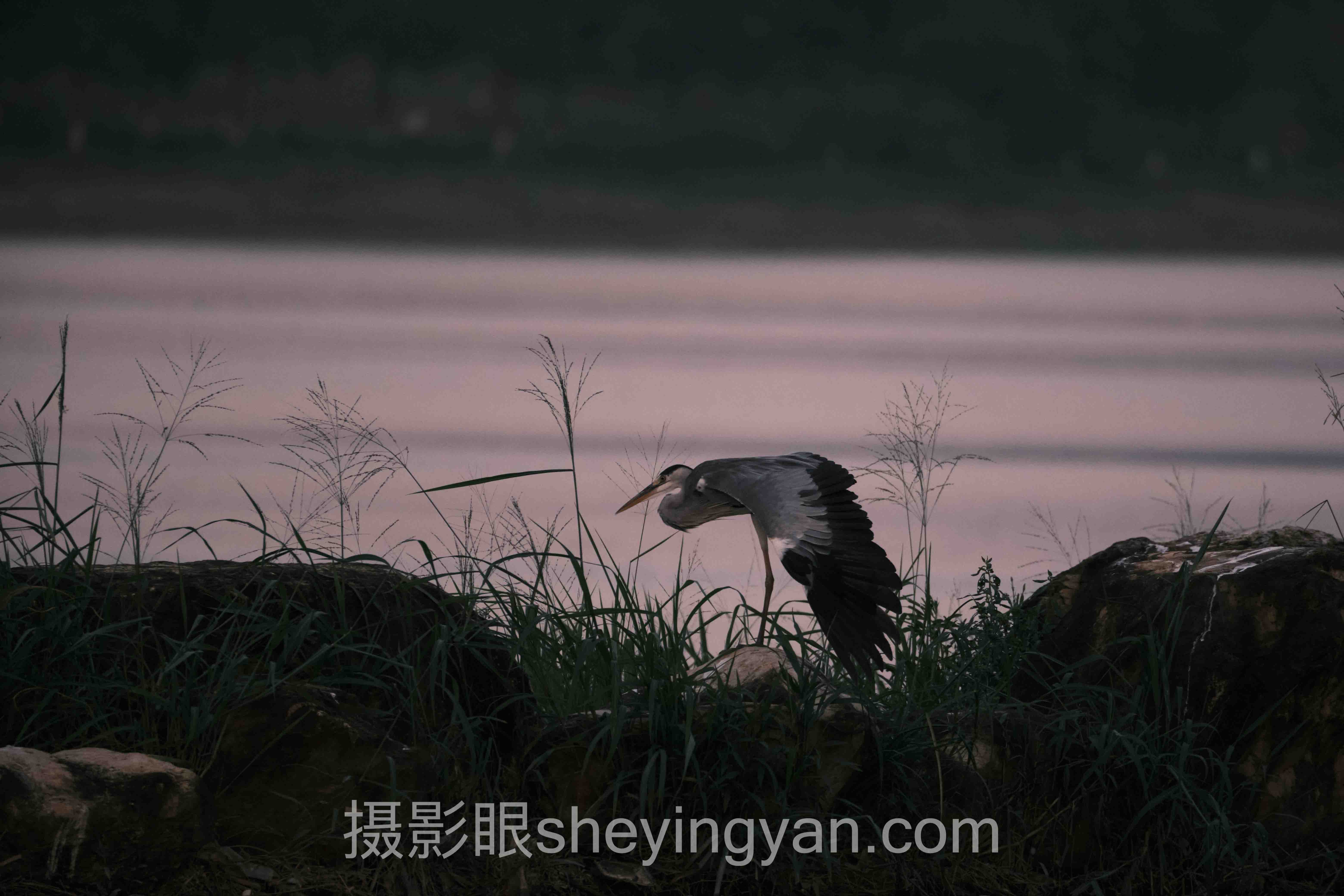 照片点评怎么做？3个案例教你练出摄影眼