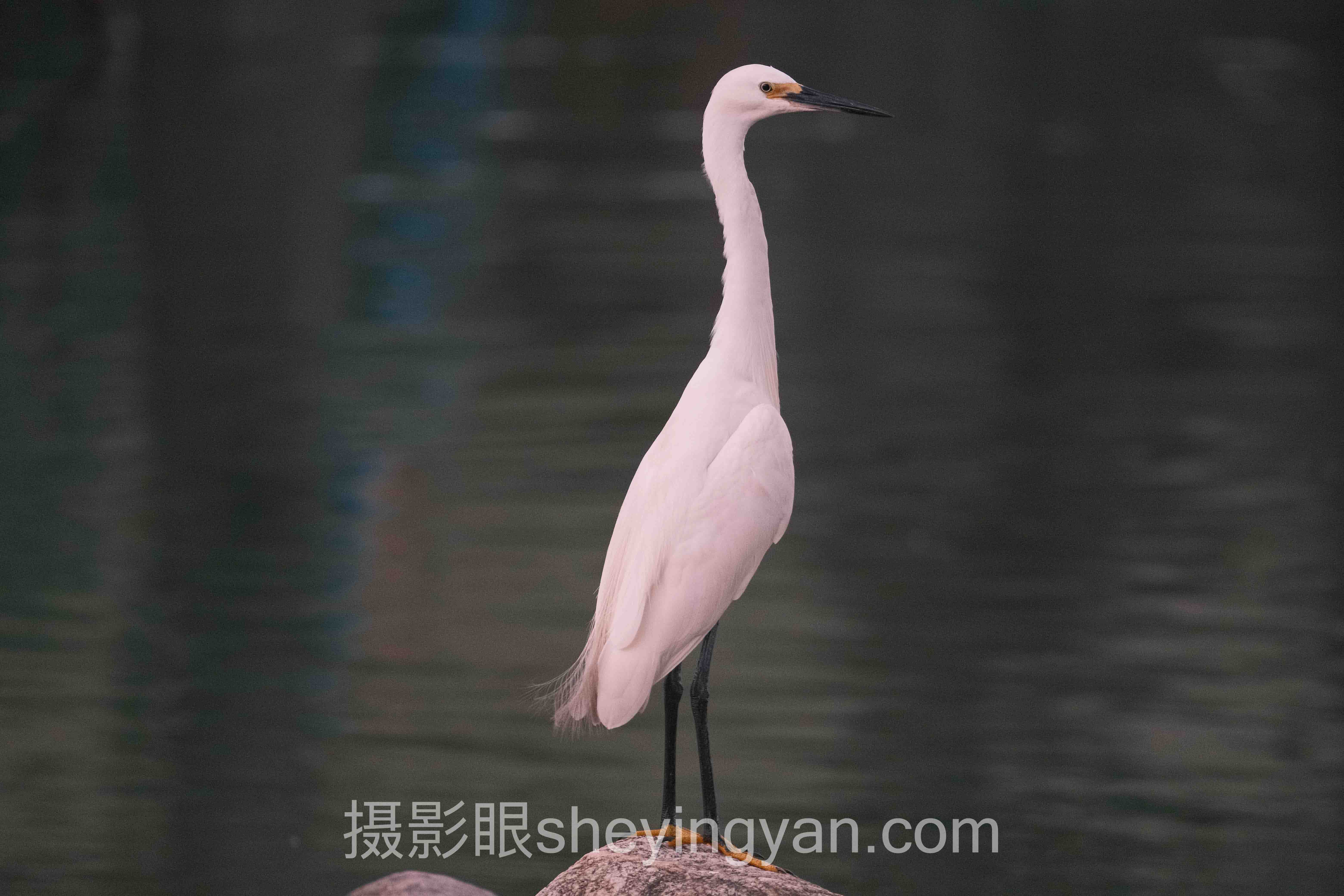 关于北京摄影眼测试机构的4个关键问题，一次说清