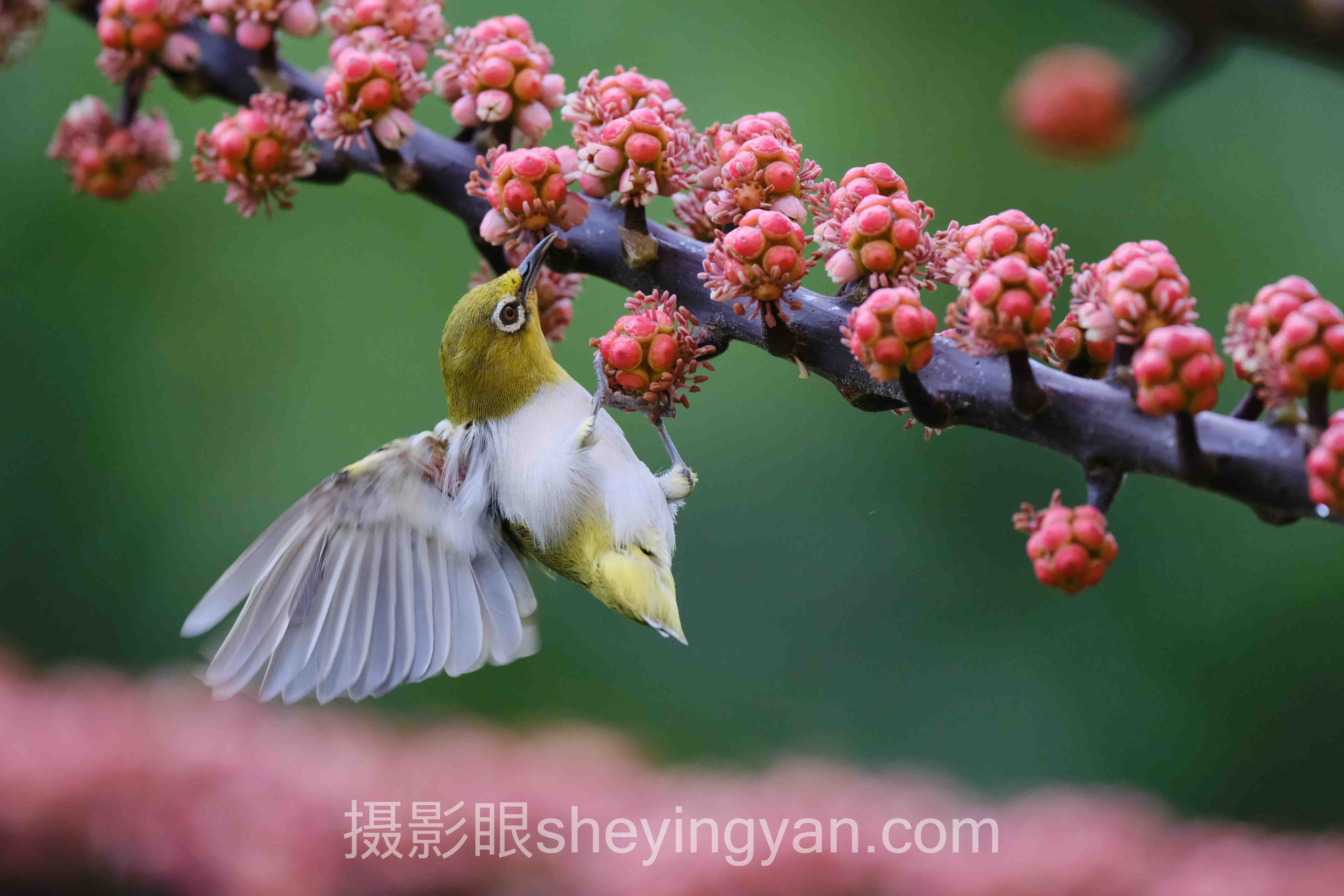 对比度怎么调深度评测：5大主流方案全面解析
