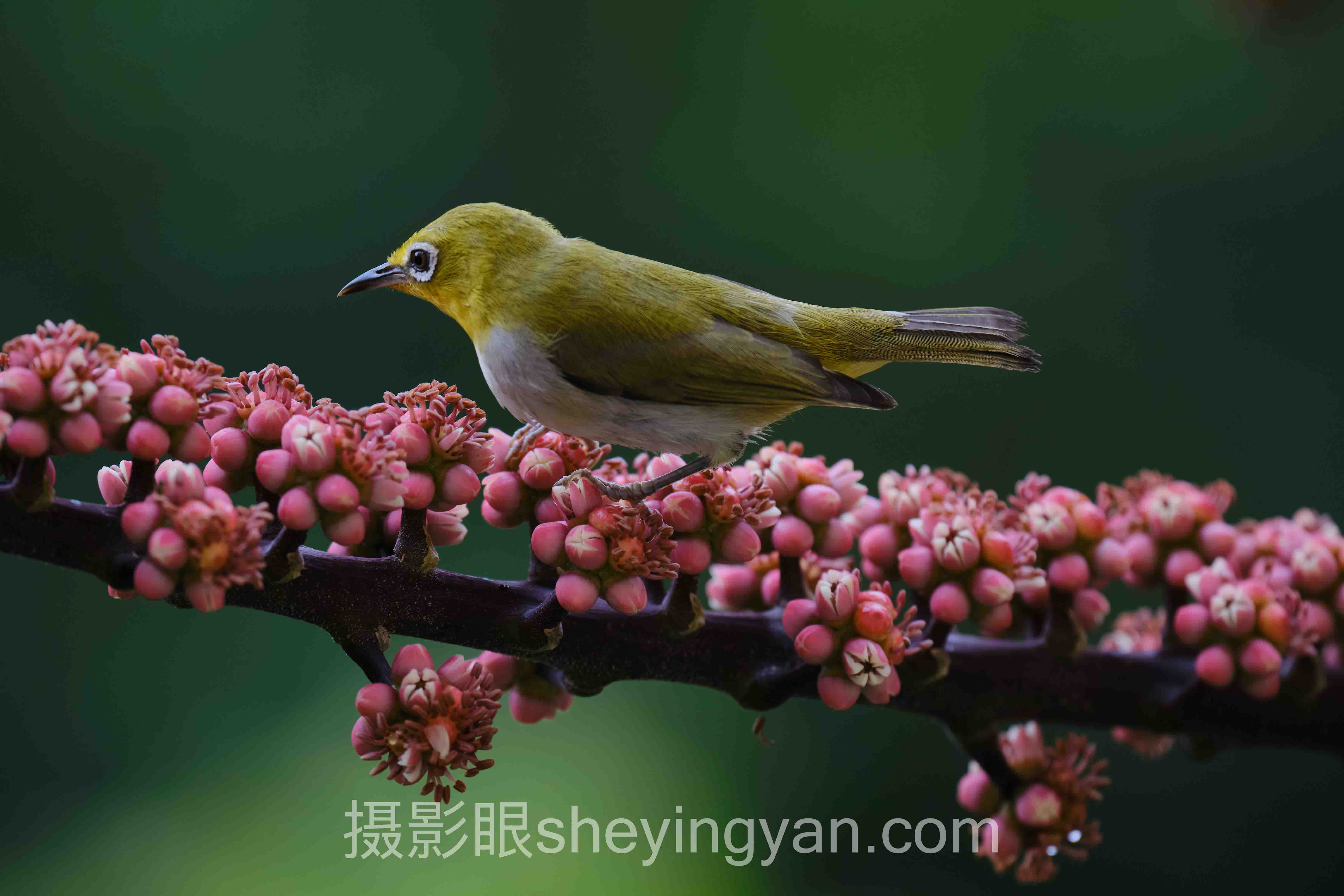 黑白照片层次实战案例拆解：3个成功实践的共同规律